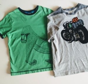 Boys Hanna Anderson t-shirts